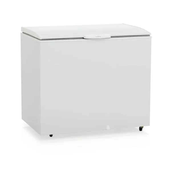 Freezer GHBS 310